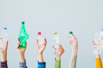 Original 1692074899961