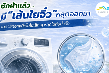 ซักเเล้วใยหลุด