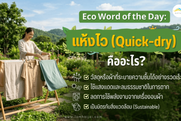 ผ้าแห้งไวคืออะไร